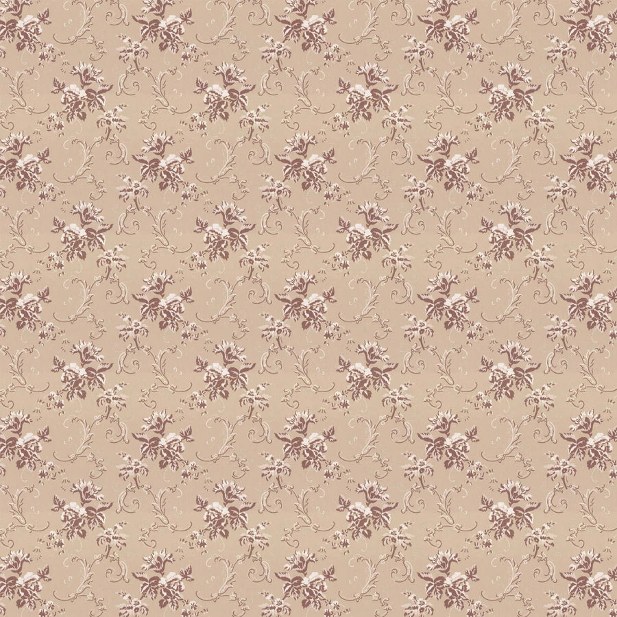 Beige/Champagne X112-91