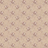 Beige/Champagne X112-91