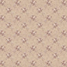 Beige/Champagne X112-91