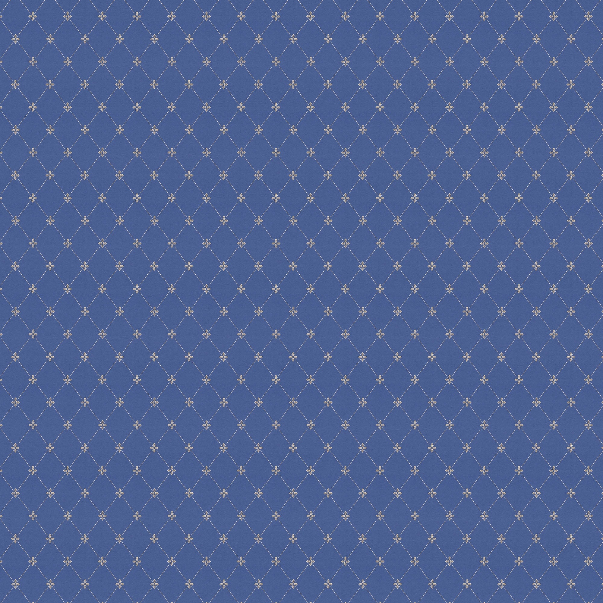 Blue/Gold X123-40
