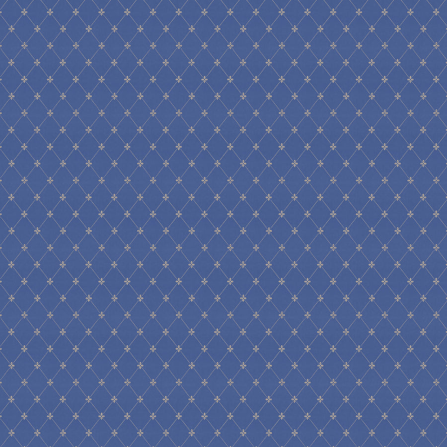 Blue/Gold X123-40