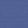 Blue/Gold X123-40