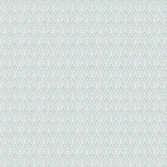 White/Light Blue X134-41