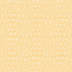 White/Yellow X134-50