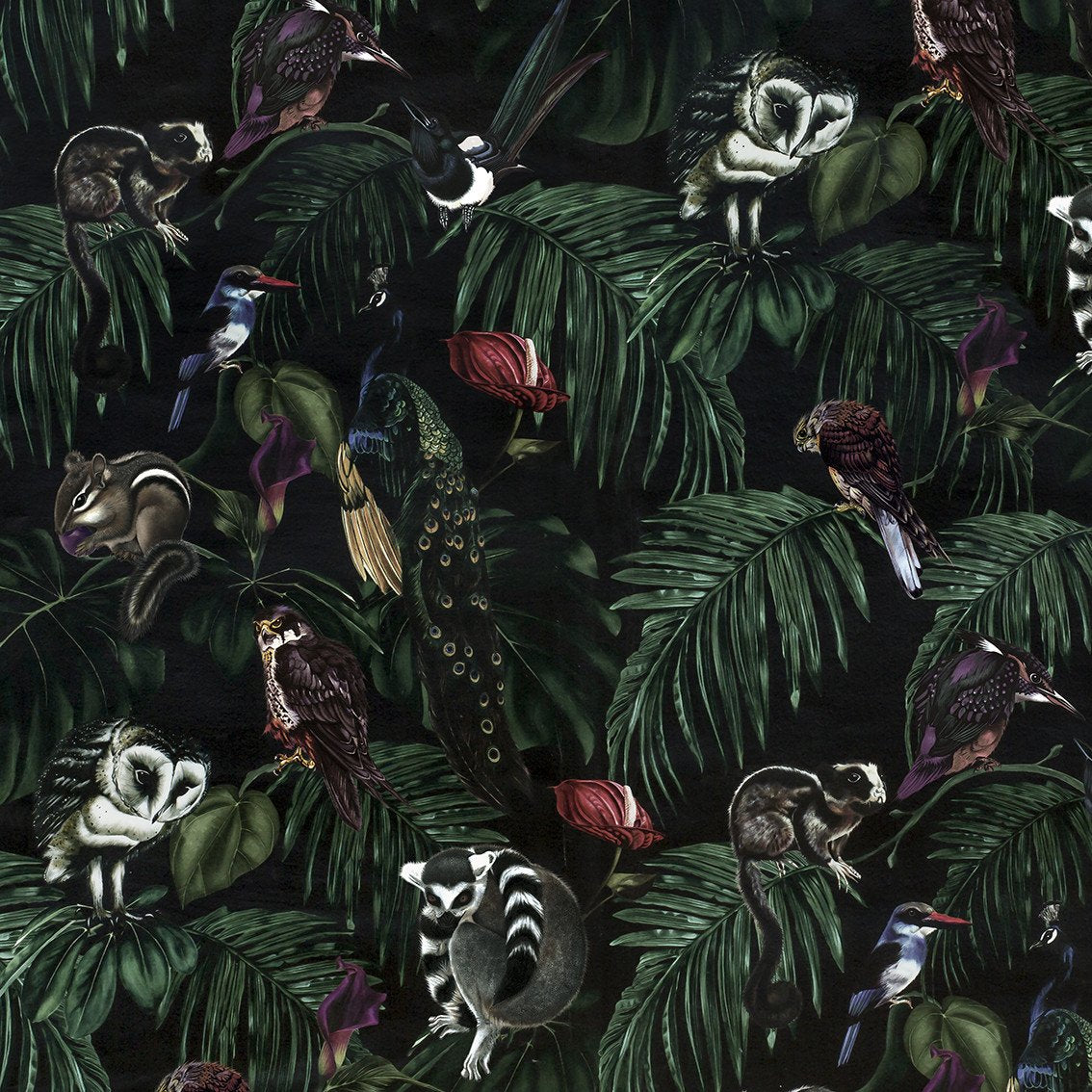 Dark Cotton Half Panama Fabric