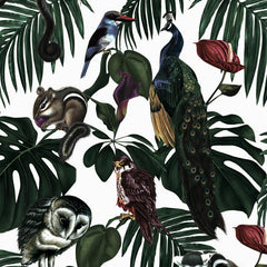 Light Cotton Half Panama Fabric
