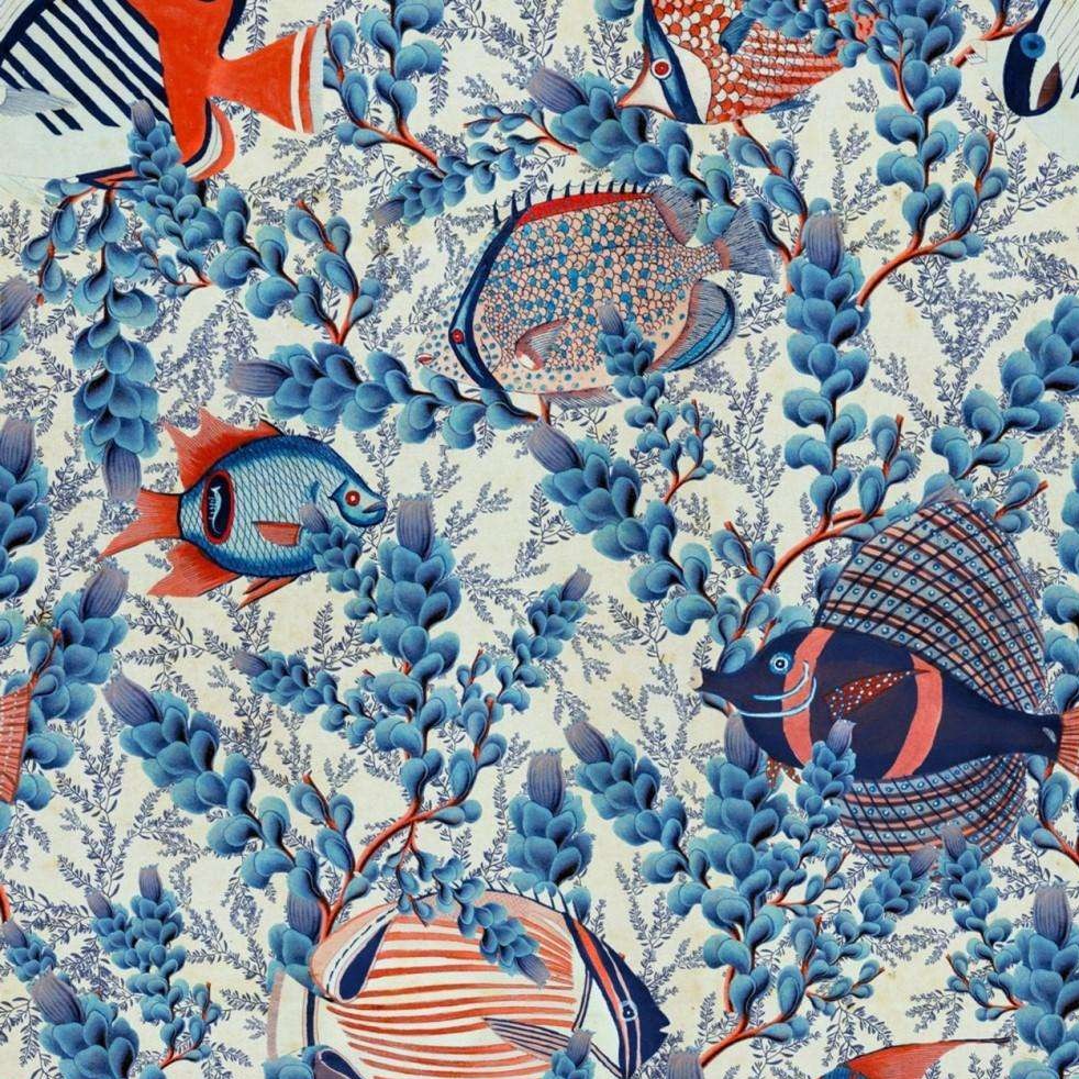 Indigo/Red