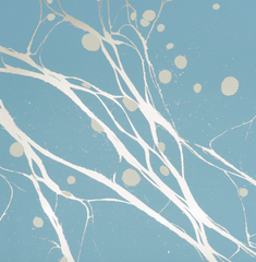 Aquarius