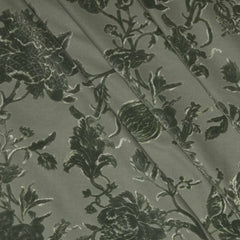 Eucalyptus