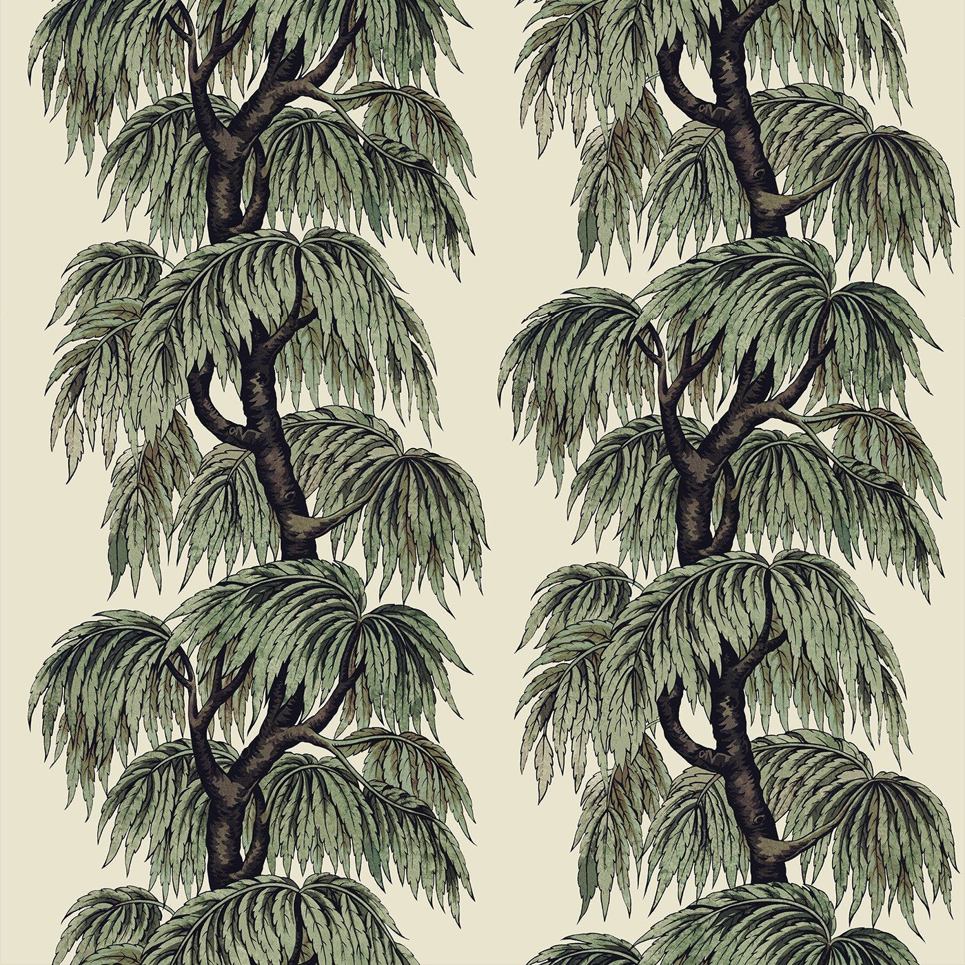 Papyrus/Willow