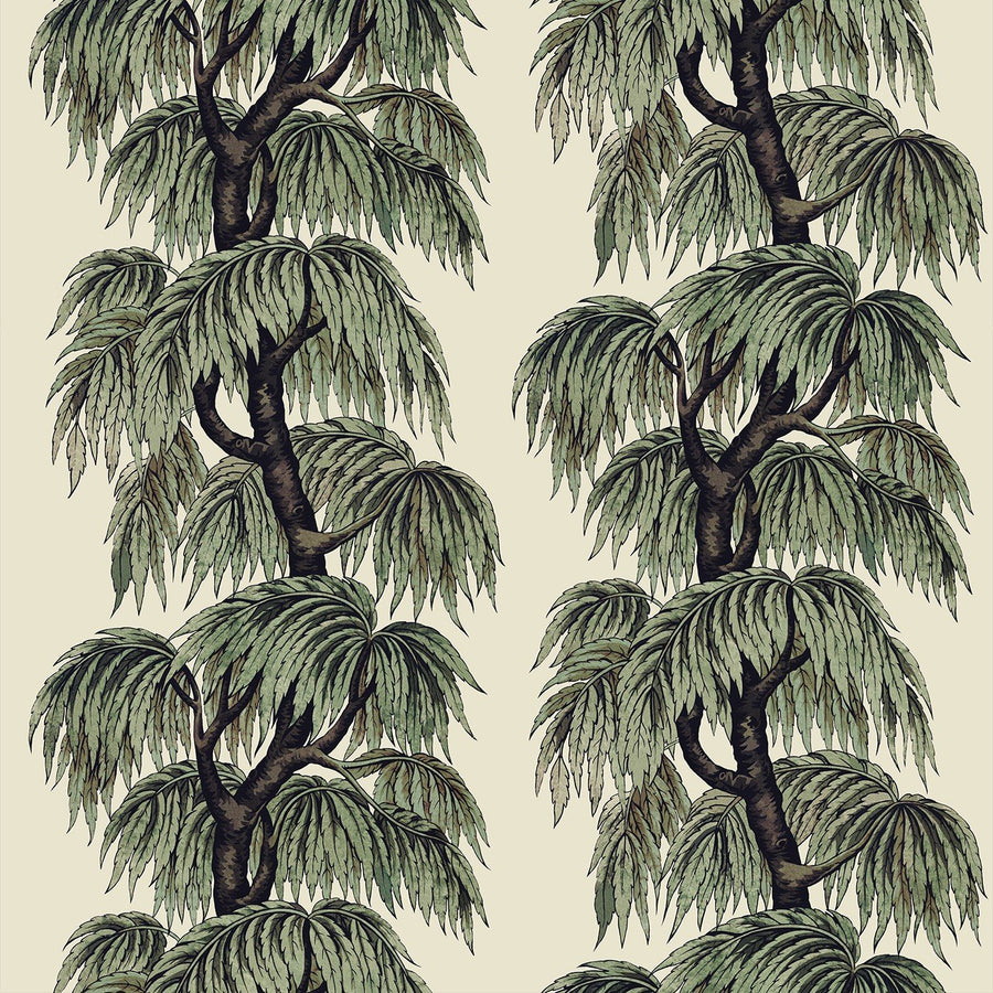 Papyrus/Willow