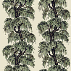 Papyrus/Willow