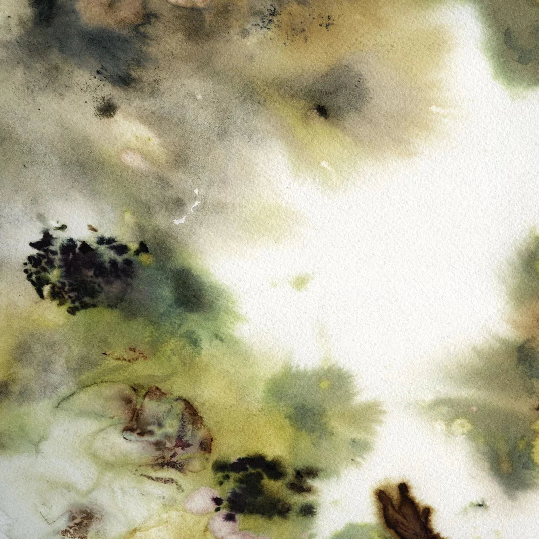 Study N.1