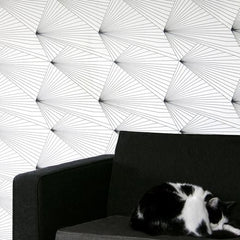 Black/White