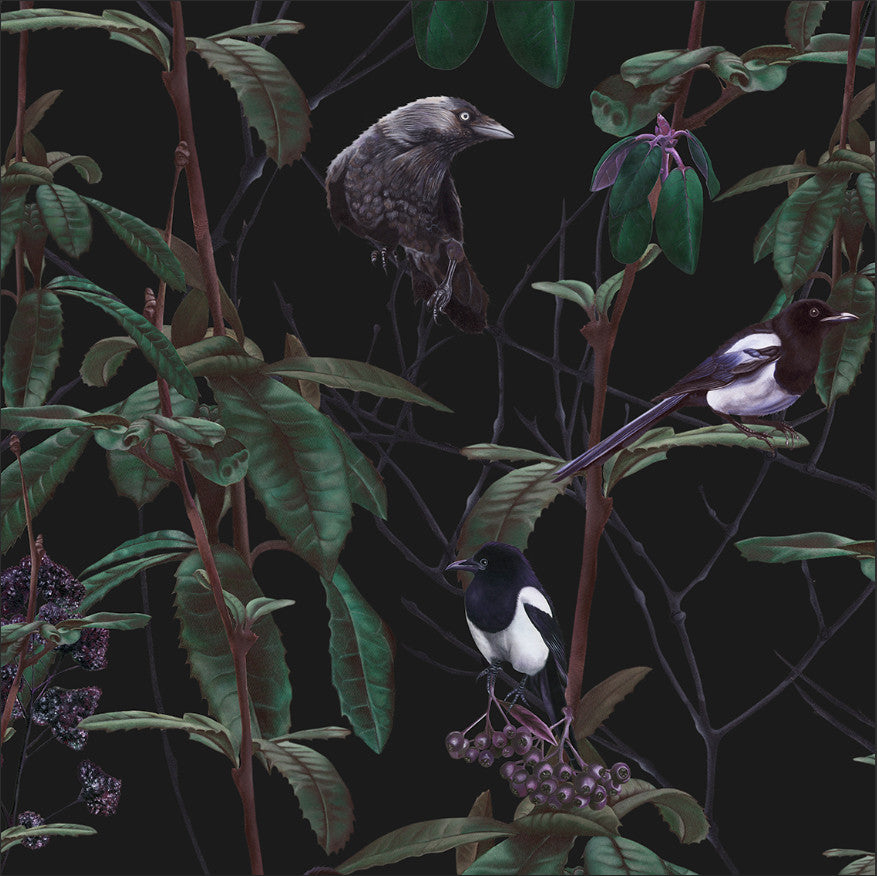 Dark Cotton Half Panama