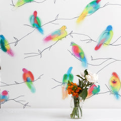 Fruit Doves