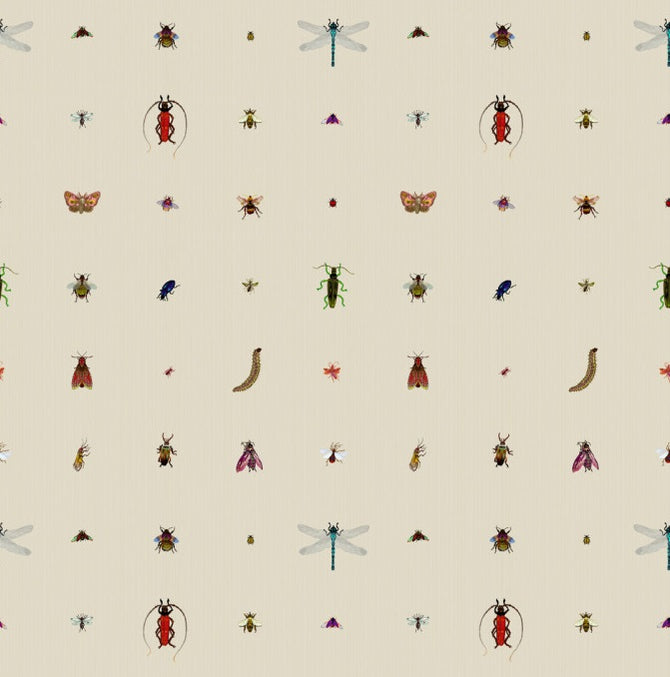 Insect Grid – Walnut Wallpaper