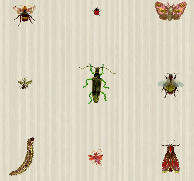 Insect Grid – Walnut Wallpaper