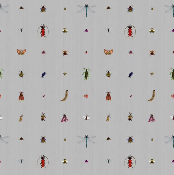 Insect Grid – Walnut Wallpaper