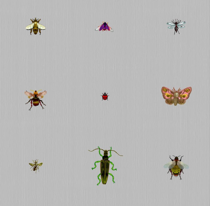 Insect Grid – Walnut Wallpaper