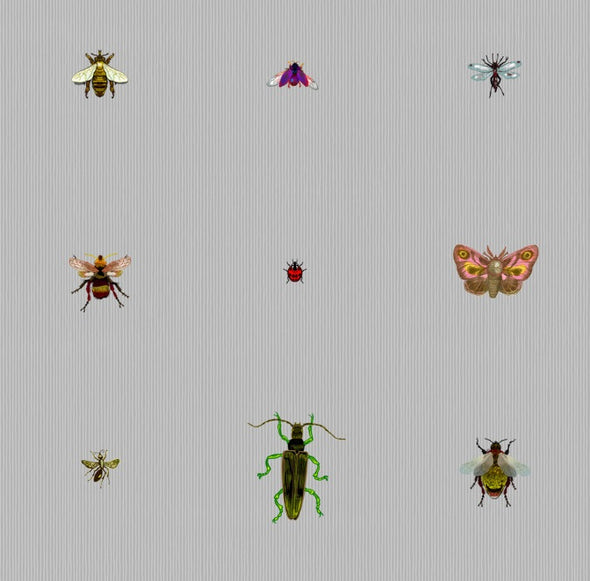 Insect Grid – Walnut Wallpaper