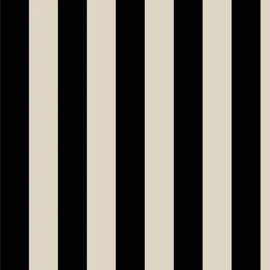Off-Black/Oyster