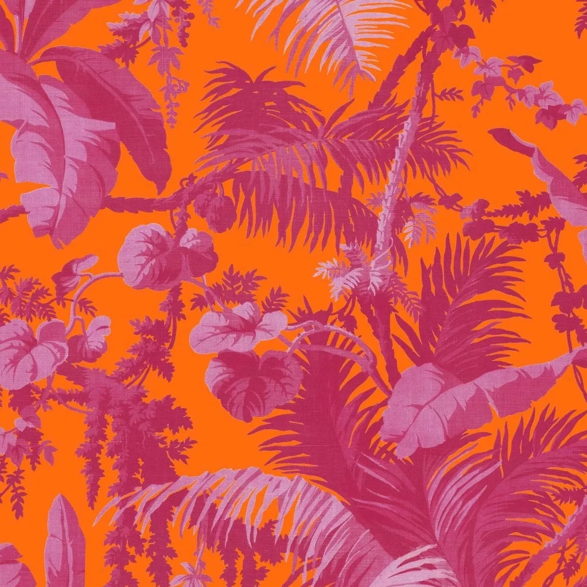 Tangerine & Azalea