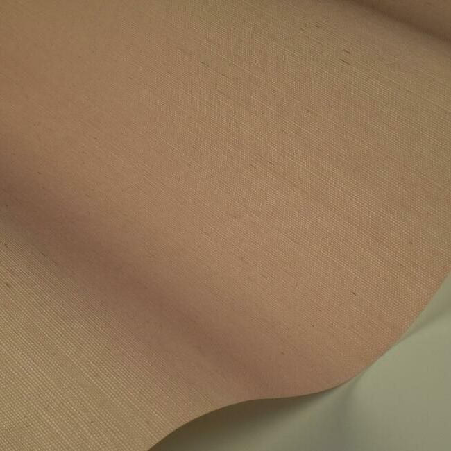 Blush RI5183