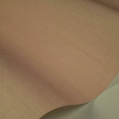 Blush RI5183
