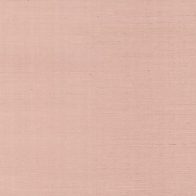 Blush RI5183