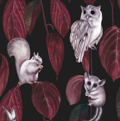Dark Cotton Half Panama
