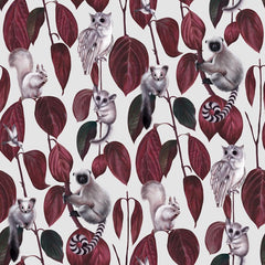 Light Cotton Half Panama