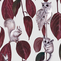 Light Cotton Half Panama