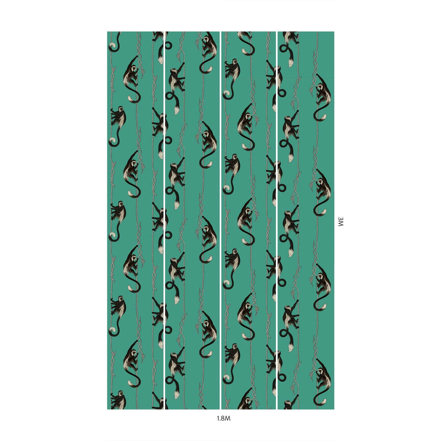 Parakeet Green